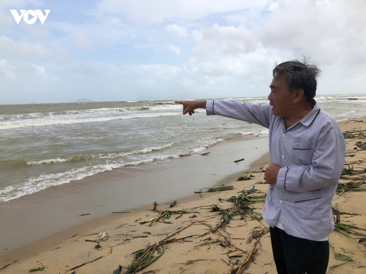 quang nam cong bo tinh huong khan cap ve sat lo tai bo bien hoi an hinh anh 4