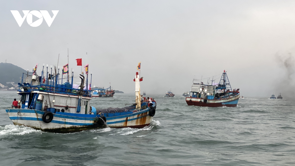 ba ria-vung tau tat ca tau ca dang hoat dong tren bien da nam duoc thong tin bao pabuk hinh anh 1