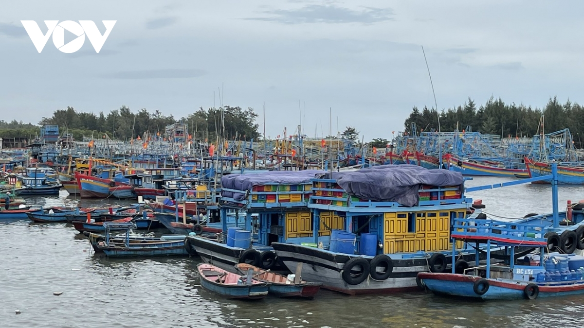 ba ria-vung tau tat ca tau ca dang hoat dong tren bien da nam duoc thong tin bao pabuk hinh anh 2