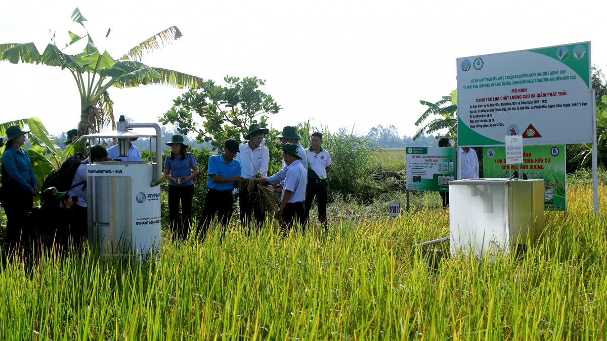 nông dân trà vinh ứng dụng mạnh mẽ chuyển đổi số vào sản xuất nông nghiệp hình ảnh 3 nong dan tra vinh ung dung manh me chuyen doi so vao san xuat nong nghiep hinh anh 3