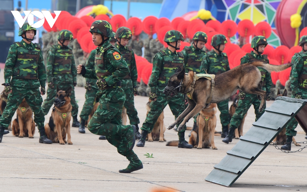 toàn cảnh tổng duyệt triển lãm quốc phòng quốc tế việt nam 2024 hình ảnh 10 toan canh tong duyet trien lam quoc phong quoc te viet nam 2024 hinh anh 10