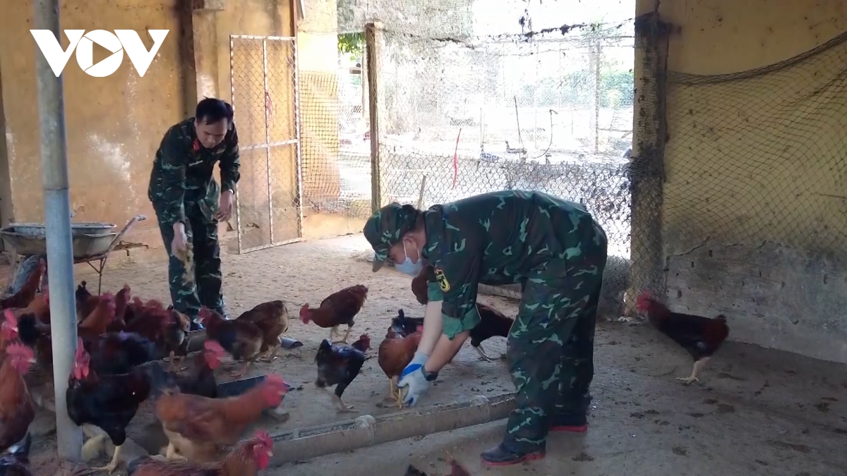 Đoàn 326 - đòn bẩy giúp dân vùng biên giới thoát nghèo hình ảnh 2 Doan 326 - don bay giup dan vung bien gioi thoat ngheo hinh anh 2