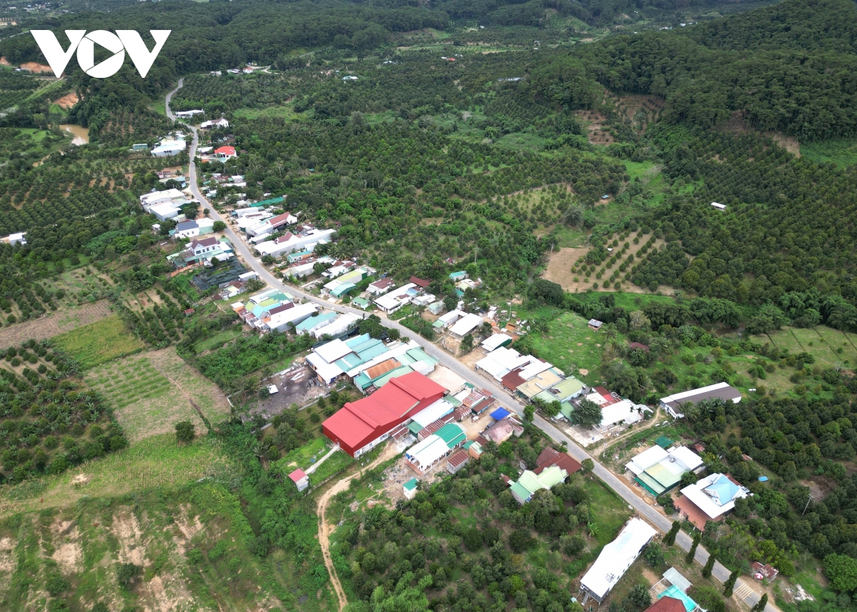 cánh tay nối dài kéo giảm tảo hôn ở miền núi tỉnh khánh hòa hình ảnh 2 canh tay noi dai keo giam tao hon o mien nui tinh khanh hoa hinh anh 2