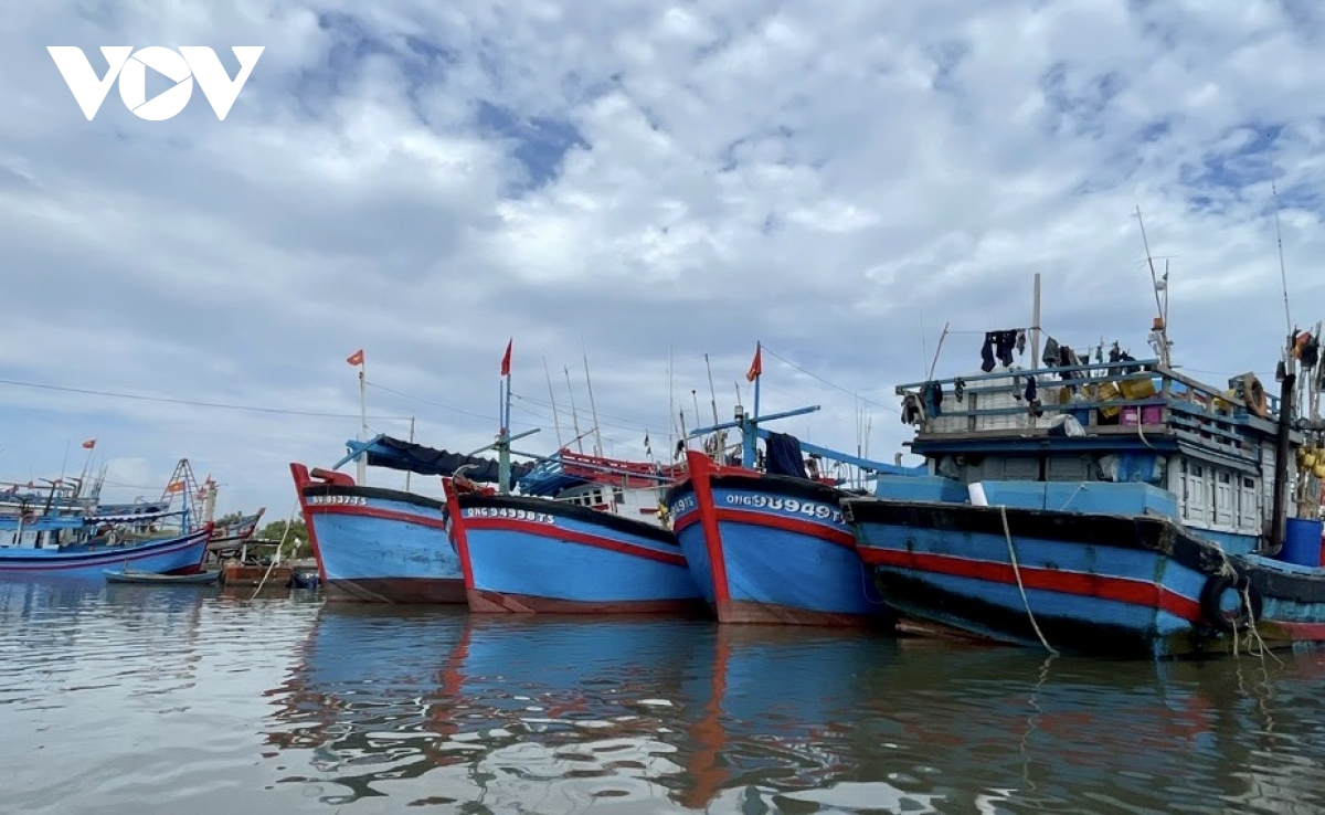 ba ria vung tau dua nhieu vu tau ca vi pham iuu ra xet xu hinh anh 1