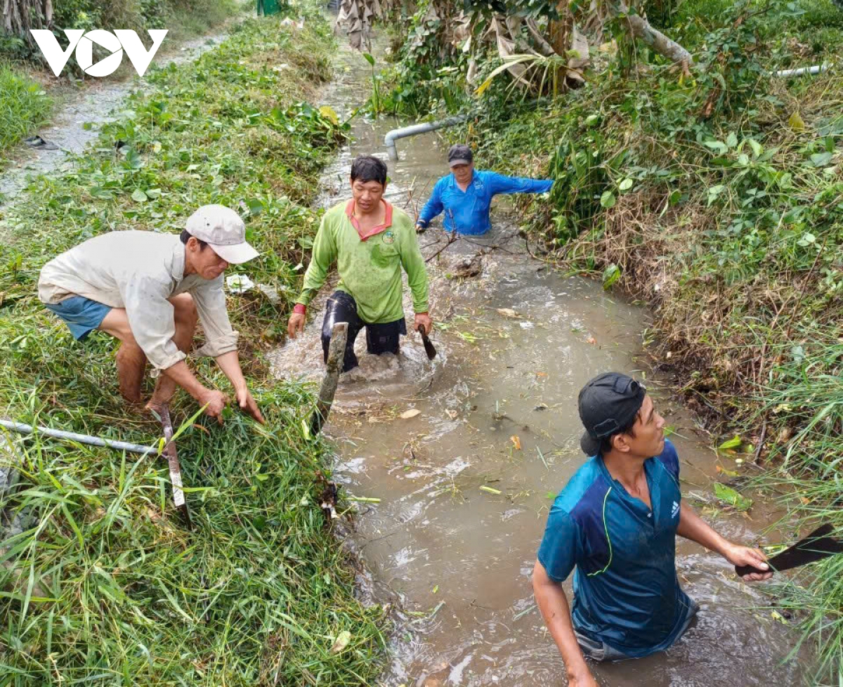 bảo vệ vườn cây tỷ phú chống hạn mặn hình ảnh 2 bao ve vuon cay ty phu chong han man hinh anh 2