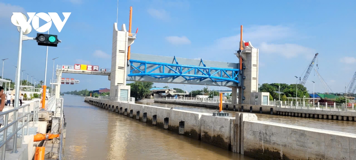 bảo vệ vườn cây tỷ phú chống hạn mặn hình ảnh 4 bao ve vuon cay ty phu chong han man hinh anh 4