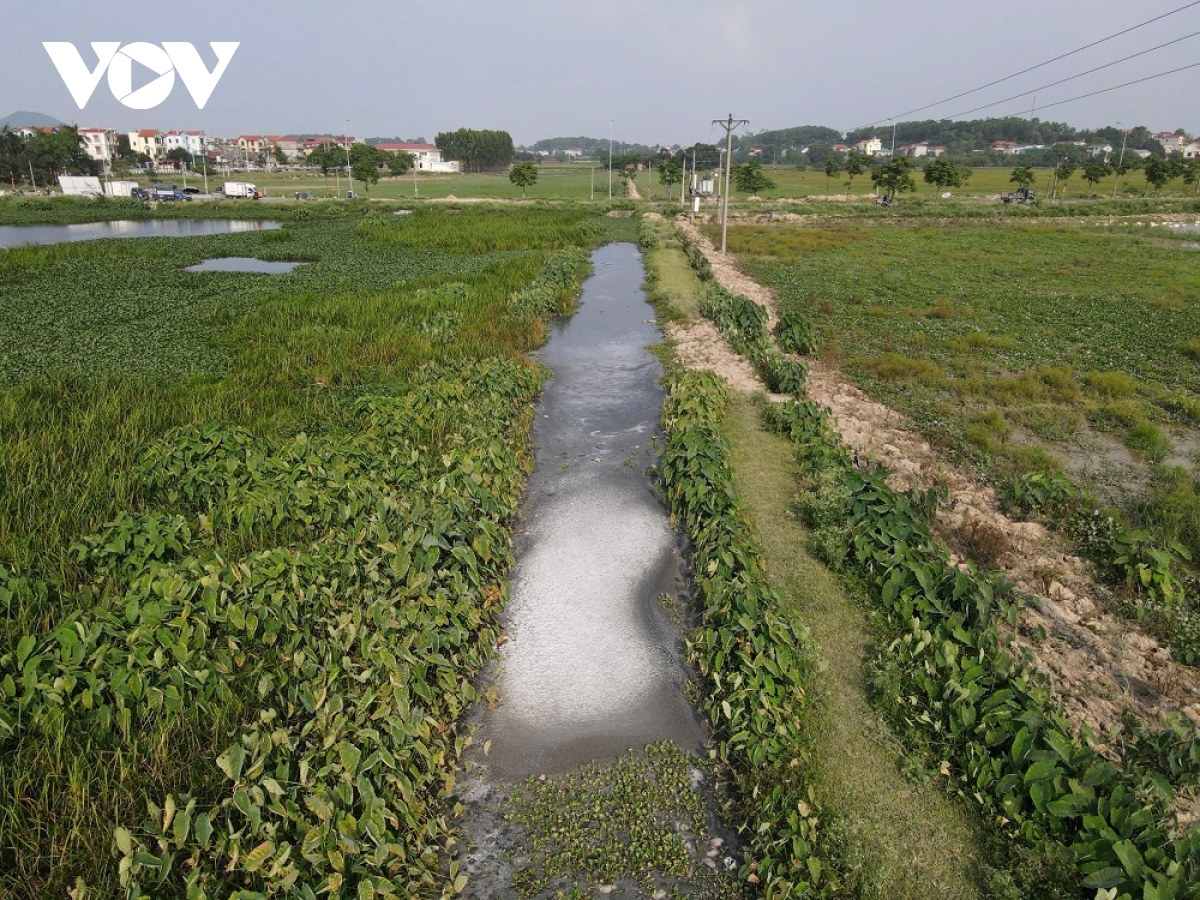 bat dau xu ly o nhiem o lang nghe bun noi tieng o bac ninh hinh anh 1