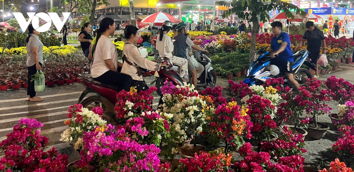 chợ hoa xuân bình Điền miễn phí cho 282 gian hàng hoa, kiểng hình ảnh 3 cho hoa xuan binh Dien mien phi cho 282 gian hang hoa, kieng hinh anh 3