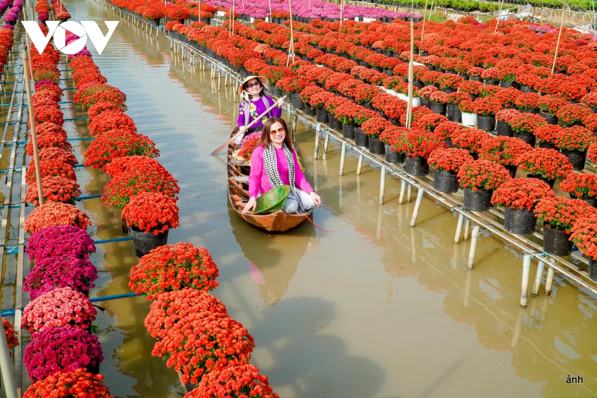 du khách đắm mình trong không gian hoa ở sa Đéc, Đồng tháp hình ảnh 10 du khach dam minh trong khong gian hoa o sa Dec, Dong thap hinh anh 10