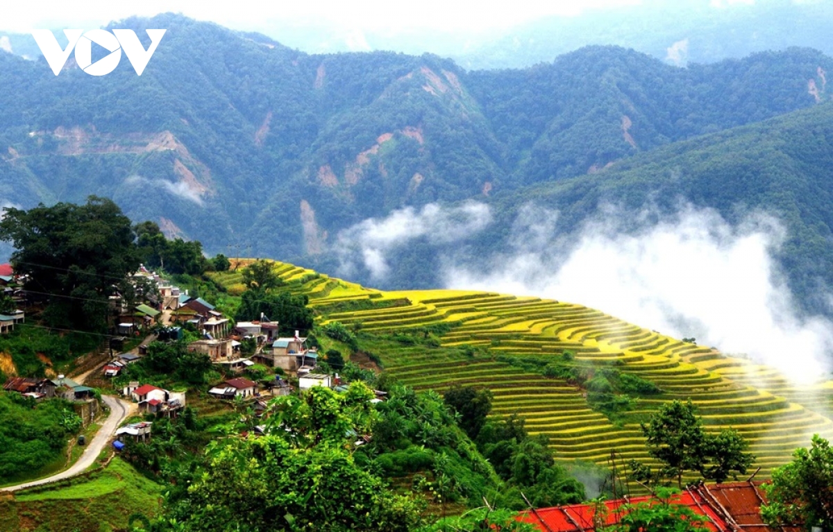 hoi xuan am ap tren ban lang nguoi la hu o lai chau hinh anh 13