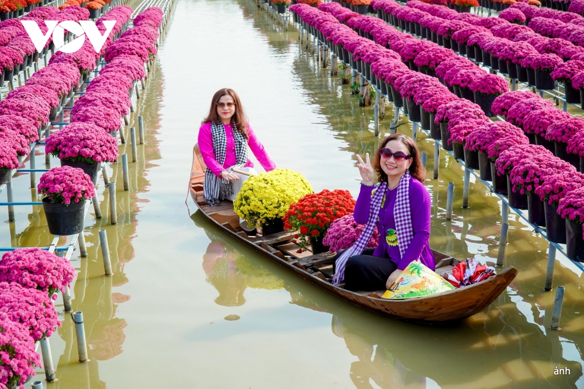 du khách đắm mình trong không gian hoa ở sa Đéc, Đồng tháp hình ảnh 13 du khach dam minh trong khong gian hoa o sa Dec, Dong thap hinh anh 13
