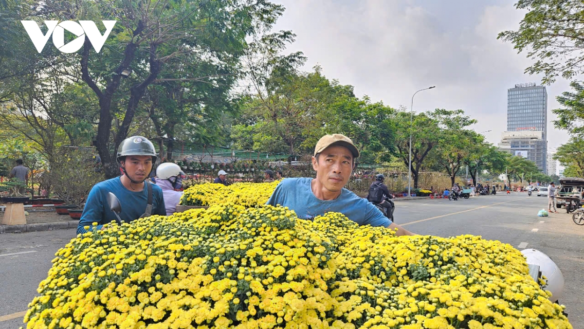 nguoi dan khu phia nam cua tp.hcm tho o voi hoa tet hinh anh 1