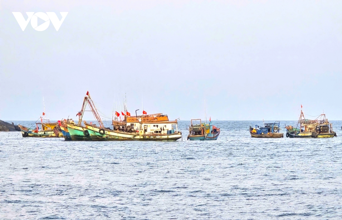 biên phòng cà mau phổ biến iuu đến ngư dân hình ảnh 1 bien phong ca mau pho bien iuu den ngu dan hinh anh 1
