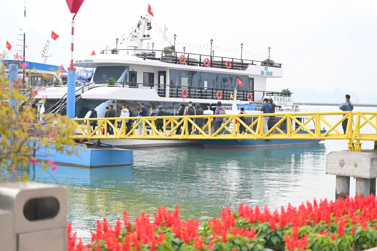 Đón những vị khách du lịch xông đất quảng ninh đầu năm hình ảnh 2 Don nhung vi khach du lich xong dat quang ninh dau nam hinh anh 2