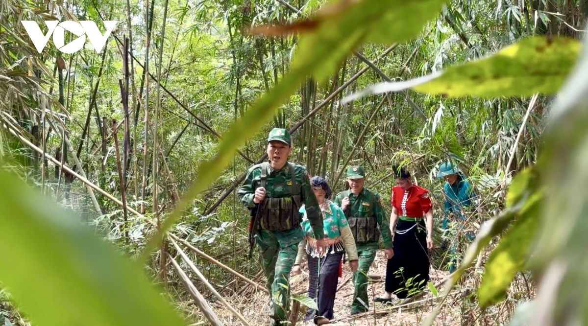 khi trai tim cung huong ve to quoc hinh anh 1