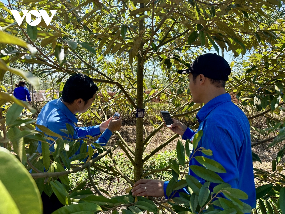 Dak lak hien dai hoa nong nghiep tu chuyen doi so va cai cach hanh chinh hinh anh 1