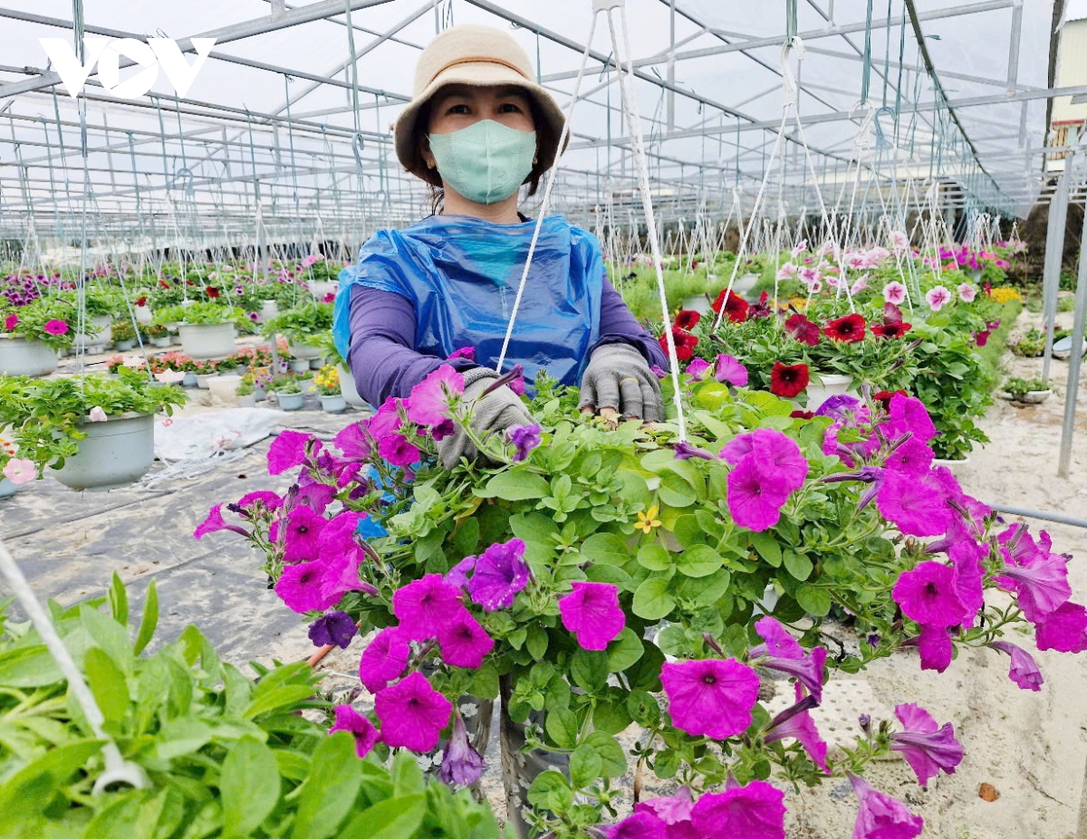 suc mua tang, nguoi trong hoa tet duy xuyen phan khoi hinh anh 2