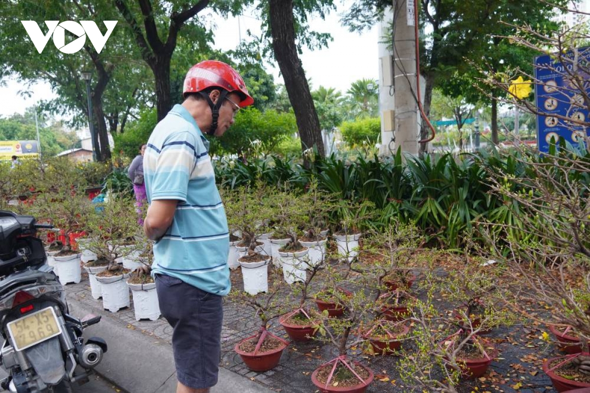 tieu thuong ban hoa tet tai tp.hcm ngong khach trong ngay cuoi cung cua nam hinh anh 3