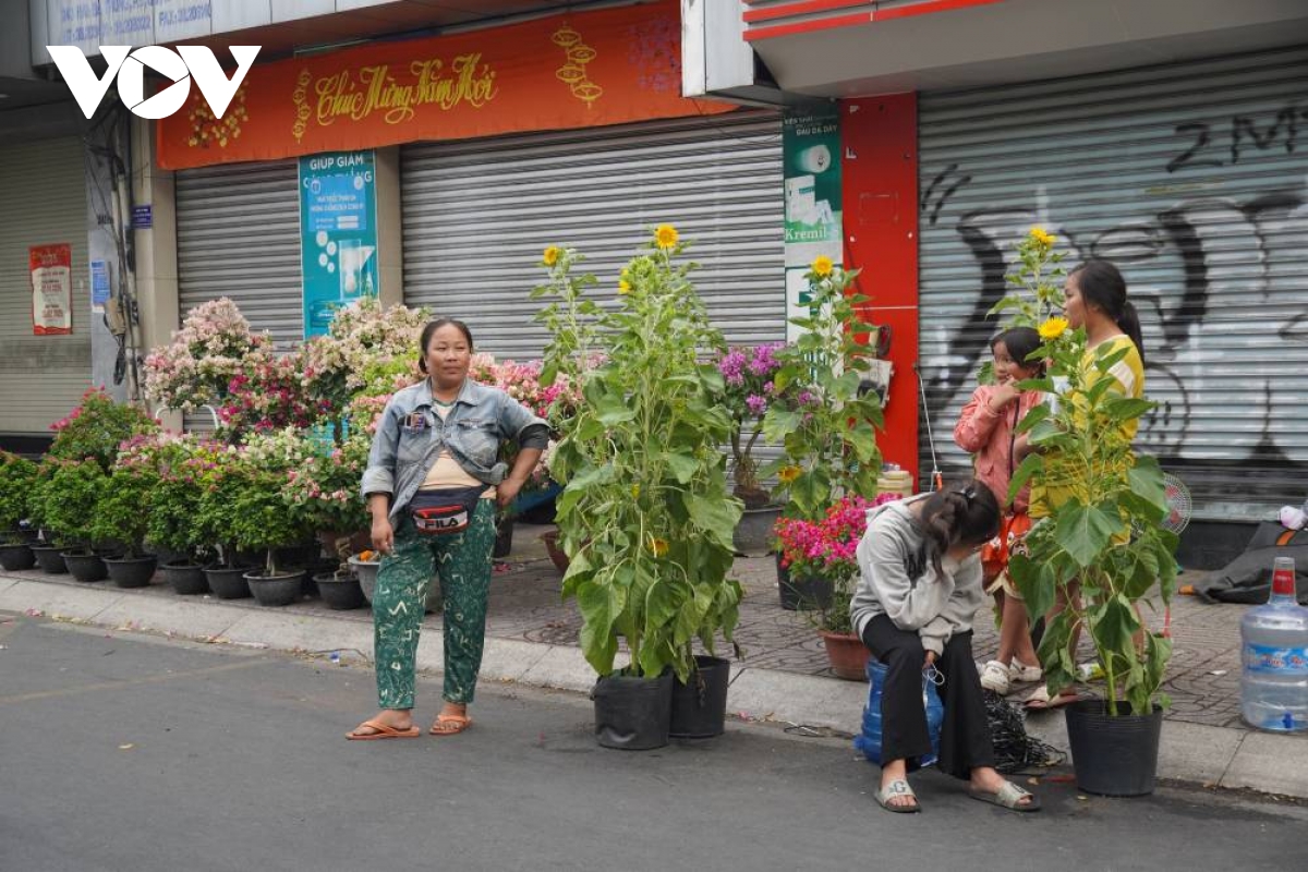 tieu thuong ban hoa tet tai tp.hcm ngong khach trong ngay cuoi cung cua nam hinh anh 8