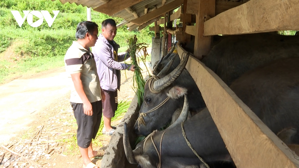 Dang vien tre - Diem tua cho ban lang nguoi mong hinh anh 3