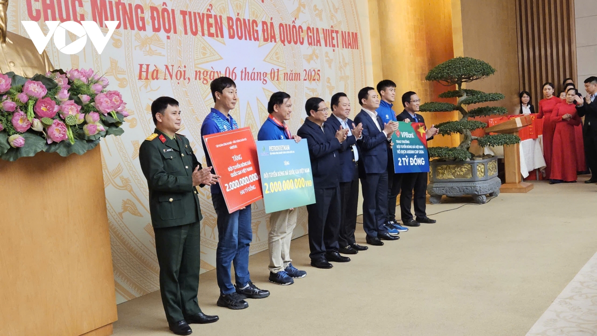 vo dich asean cup 2024, Dt viet nam duoc thu tuong vinh danh hinh anh 101