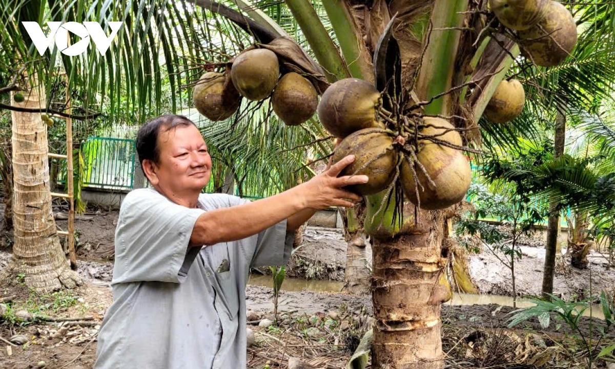 Chuyện về người nông dân tỷ phú ở xứ dừa với mô hình làm vườn “sạch”