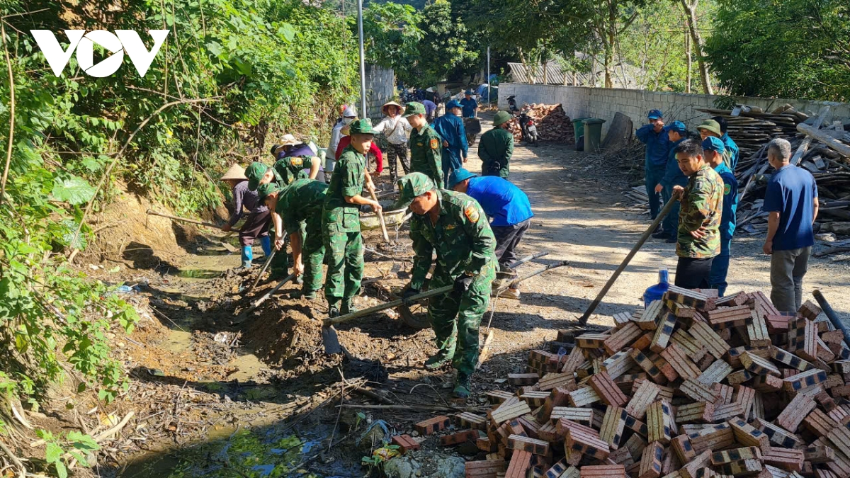 mua xuan cua long dan o noi bien cuong to quoc hinh anh 6