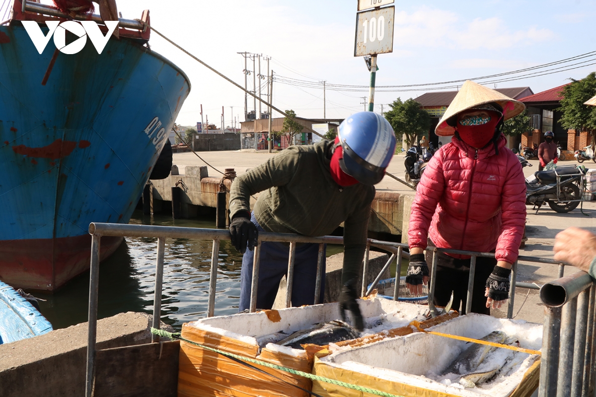 ngư dân quảng trị rộn ràng phiên biển cuối năm hình ảnh 5 ngu dan quang tri ron rang phien bien cuoi nam hinh anh 5