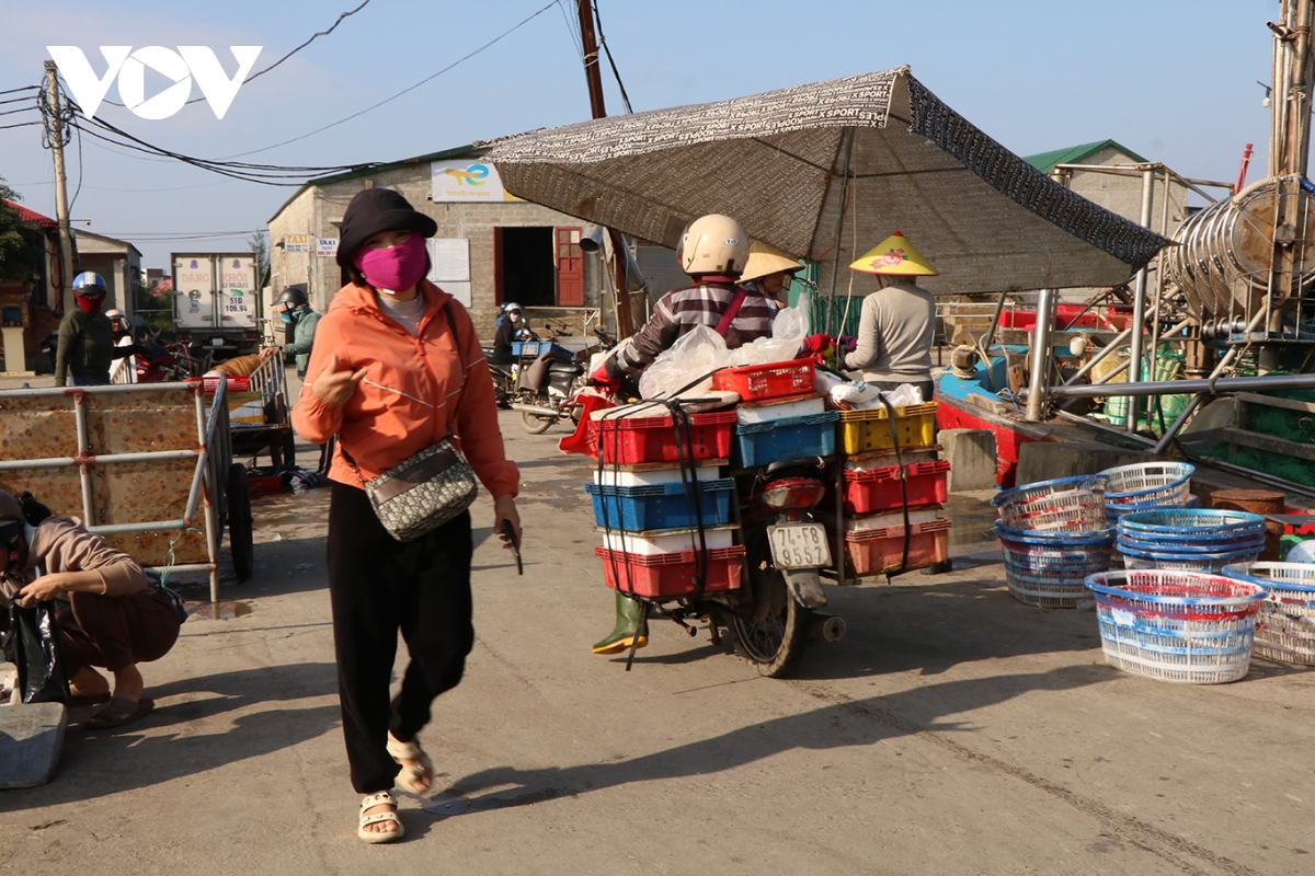 ngư dân quảng trị rộn ràng phiên biển cuối năm hình ảnh 3 ngu dan quang tri ron rang phien bien cuoi nam hinh anh 3