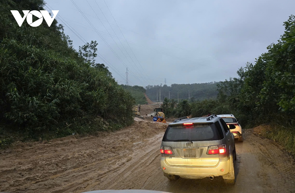 dan keu vi quoc lo 14e nat nhu tuong hinh anh 5