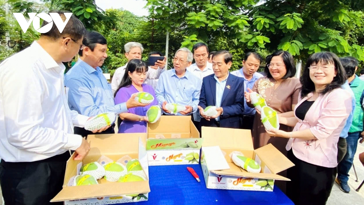Cấu trúc lại ngành hàng: Nông dân, doanh nghiệp song hành phát triển