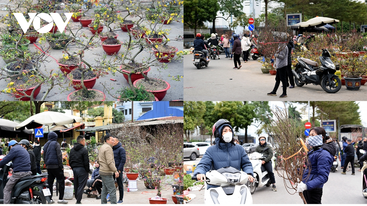 cho tet ngay 30, hang hoa phong phu, suc mua kem hinh anh 12