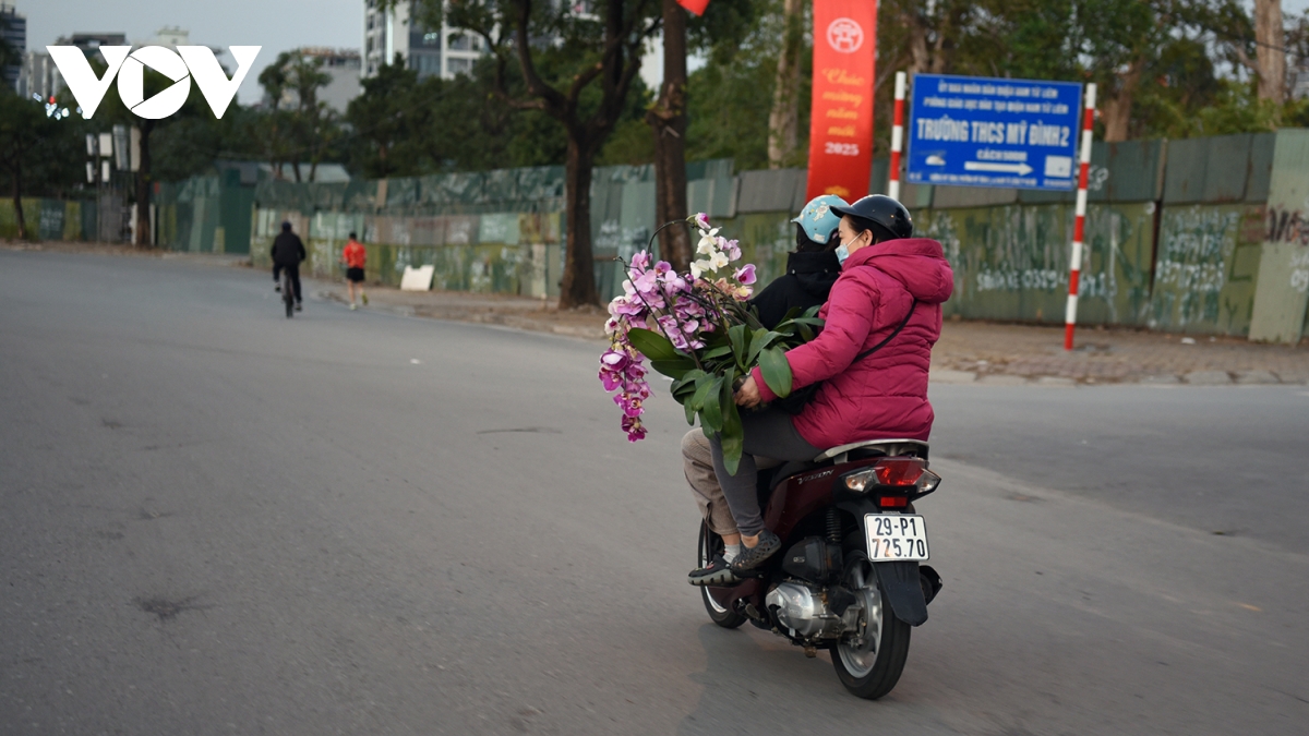 cho hoa lan chieu 30 tet giam gia sau, tap nap nguoi mua hinh anh 14