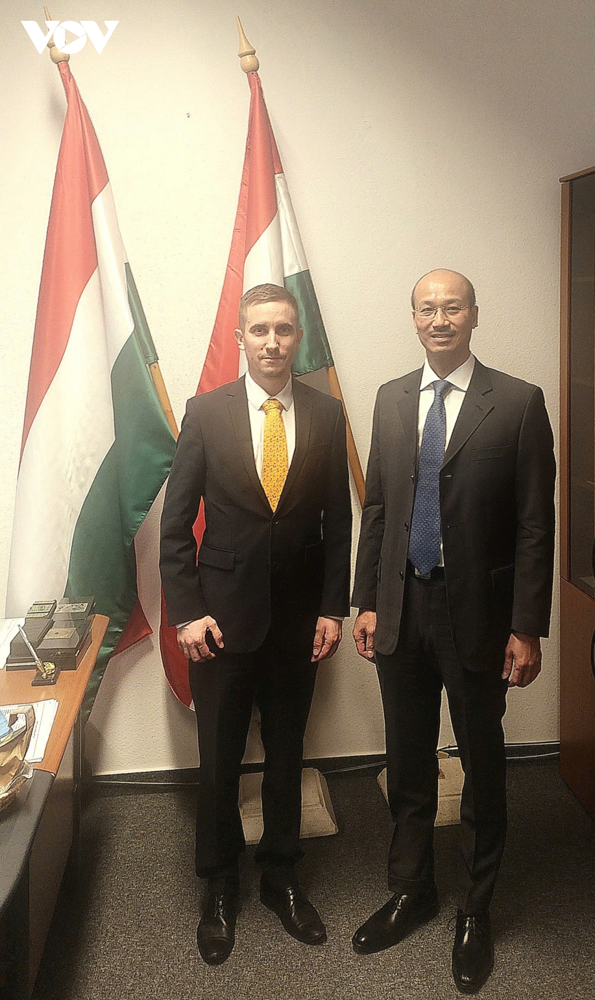 tăng cường quan hệ hợp tác toàn diện giữa việt nam và hungary hình ảnh 1 tang cuong quan he hop tac toan dien giua viet nam va hungary hinh anh 1