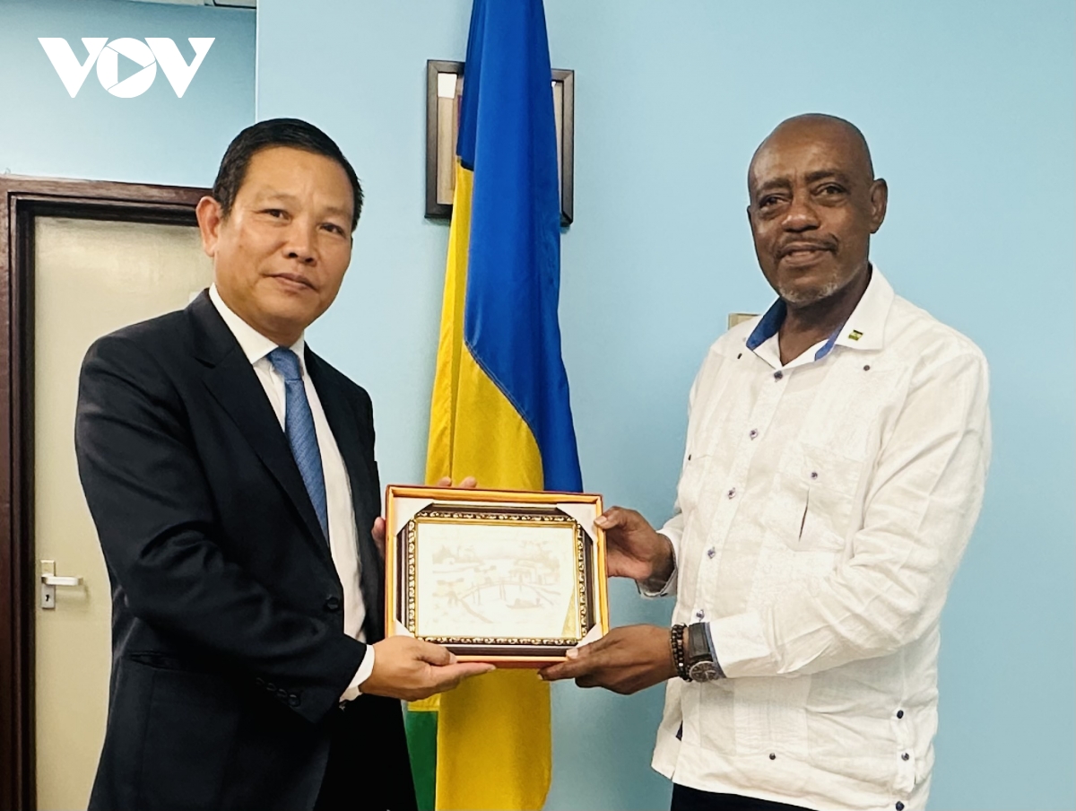 Đại sứ việt nam trình quốc thư lên toàn quyền saint vincent và grenadines hình ảnh 3 Dai su viet nam trinh quoc thu len toan quyen saint vincent va grenadines hinh anh 3