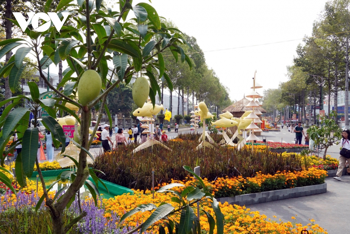 Duong hoa xuan Dong thap - diem nhan cho nguoi dan va du khach dip tet hinh anh 7