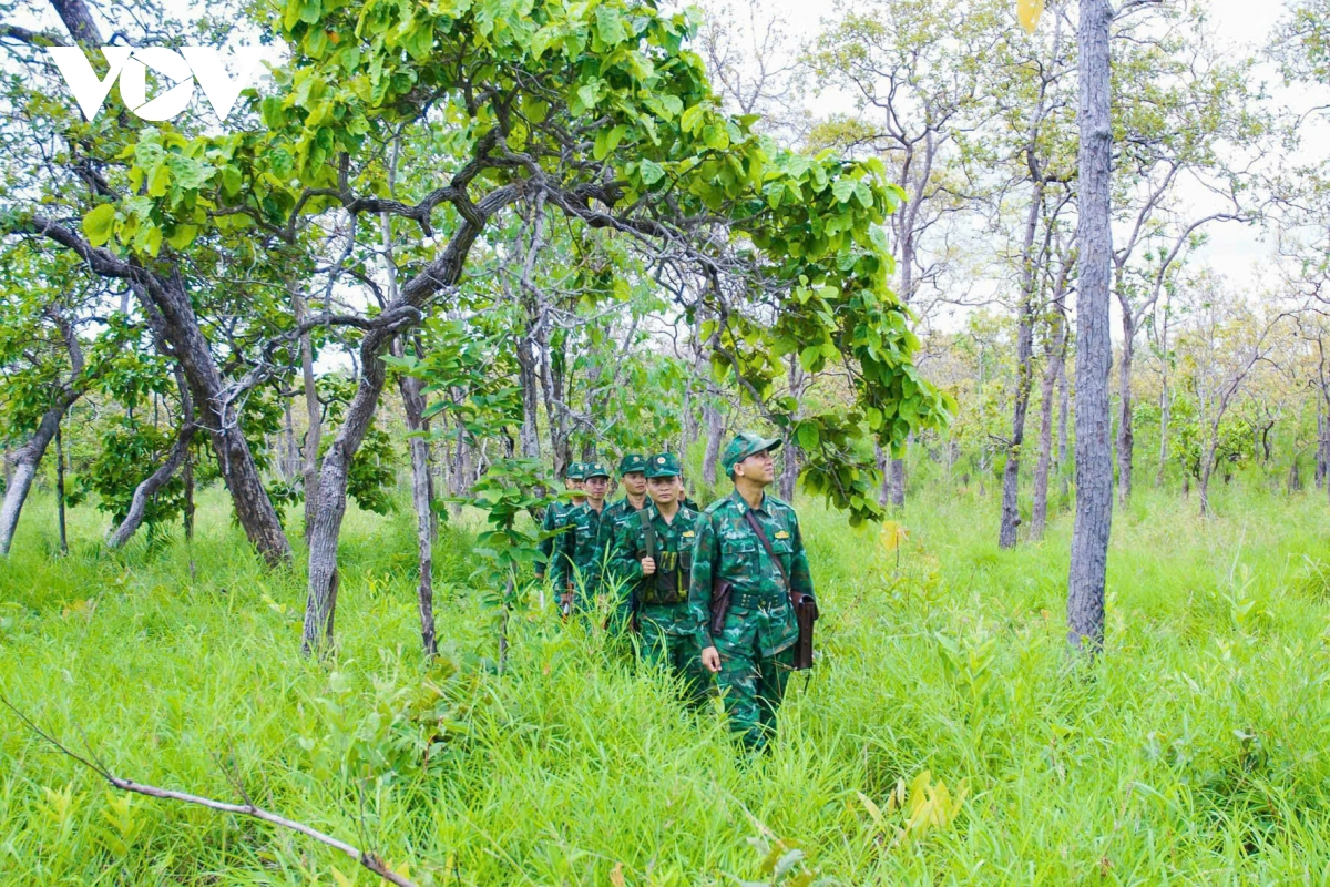 Am tinh quan dan tren bien gioi gia lai hinh anh 5