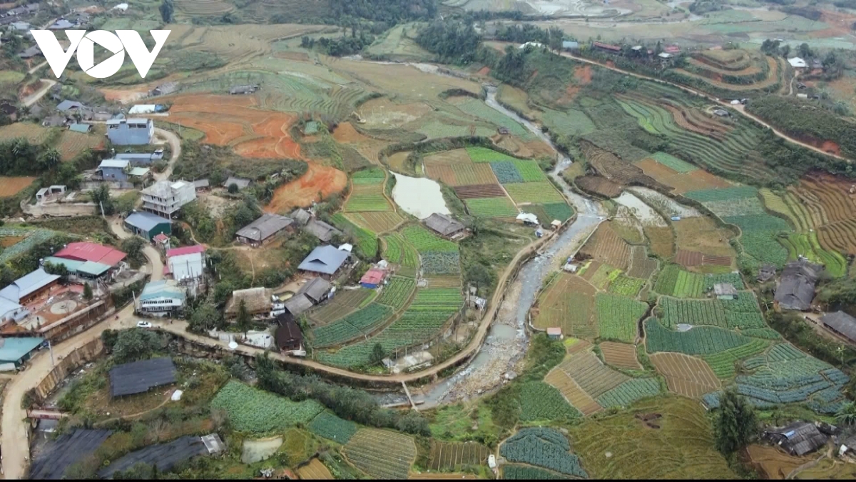 nông dân sa pa tăng cường phòng, chống rét cho cây trồng, vật nuôi hình ảnh 3 nong dan sa pa tang cuong phong, chong ret cho cay trong, vat nuoi hinh anh 3