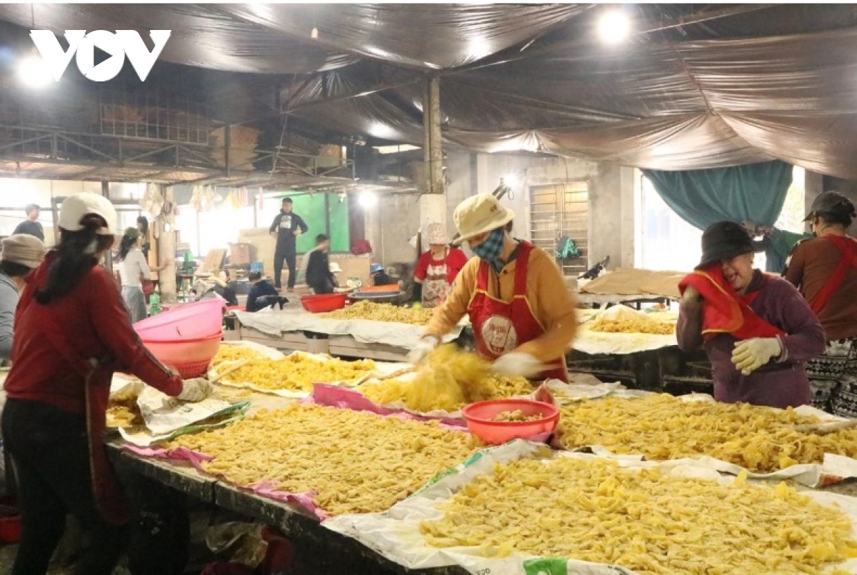 Ginger jam village in central Vietnam bustling in the buildup to Tet