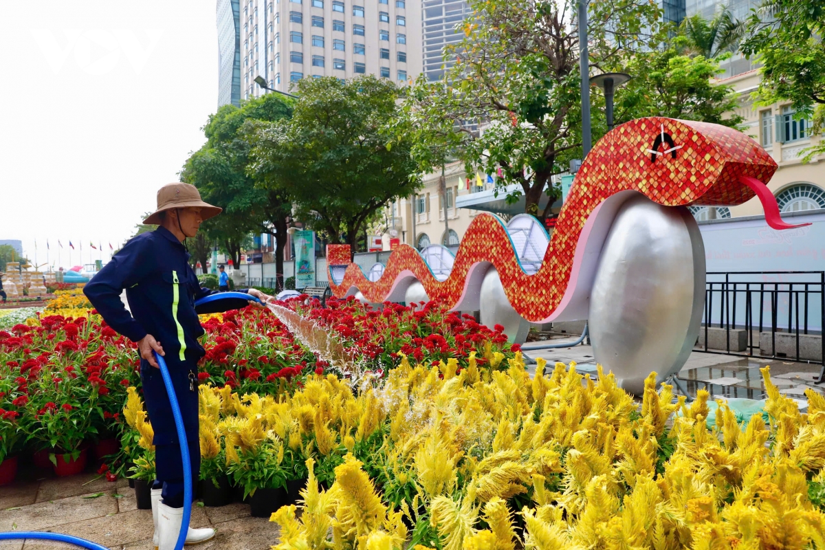 cap linh vat ran khong lo cua Duong hoa nguyen hue lo dien hinh anh 9