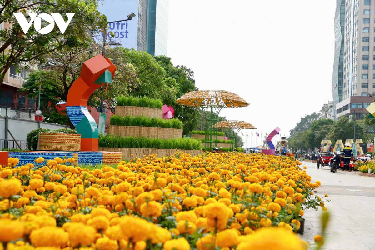 cap linh vat ran khong lo cua Duong hoa nguyen hue lo dien hinh anh 12