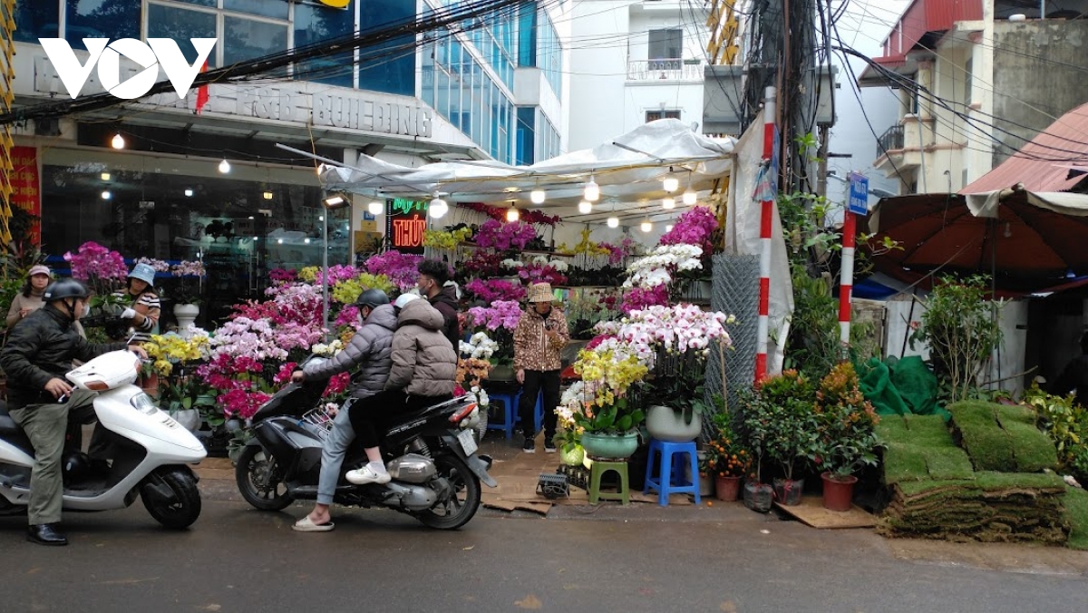 nguoi ban dao, quat tet o ha noi co ro duoi troi mua ret hinh anh 14