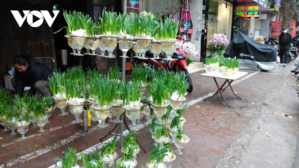 nguoi ban dao, quat tet o ha noi co ro duoi troi mua ret hinh anh 15