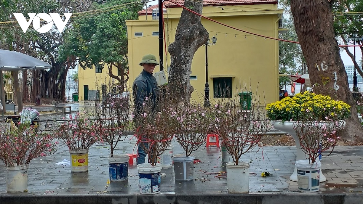 nguoi ban dao, quat tet o ha noi co ro duoi troi mua ret hinh anh 5