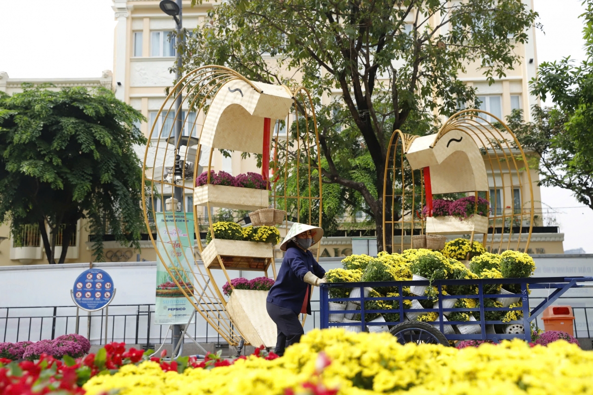 cap linh vat ran khong lo cua Duong hoa nguyen hue lo dien hinh anh 7