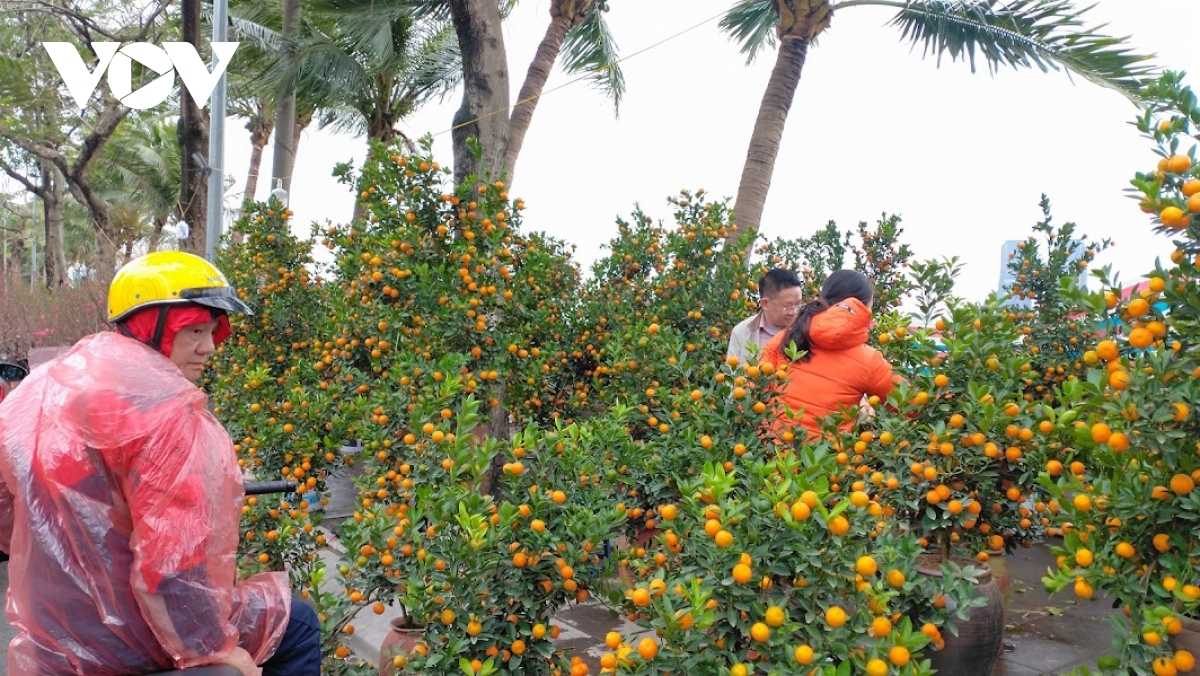 nguoi ban dao, quat tet o ha noi co ro duoi troi mua ret hinh anh 7