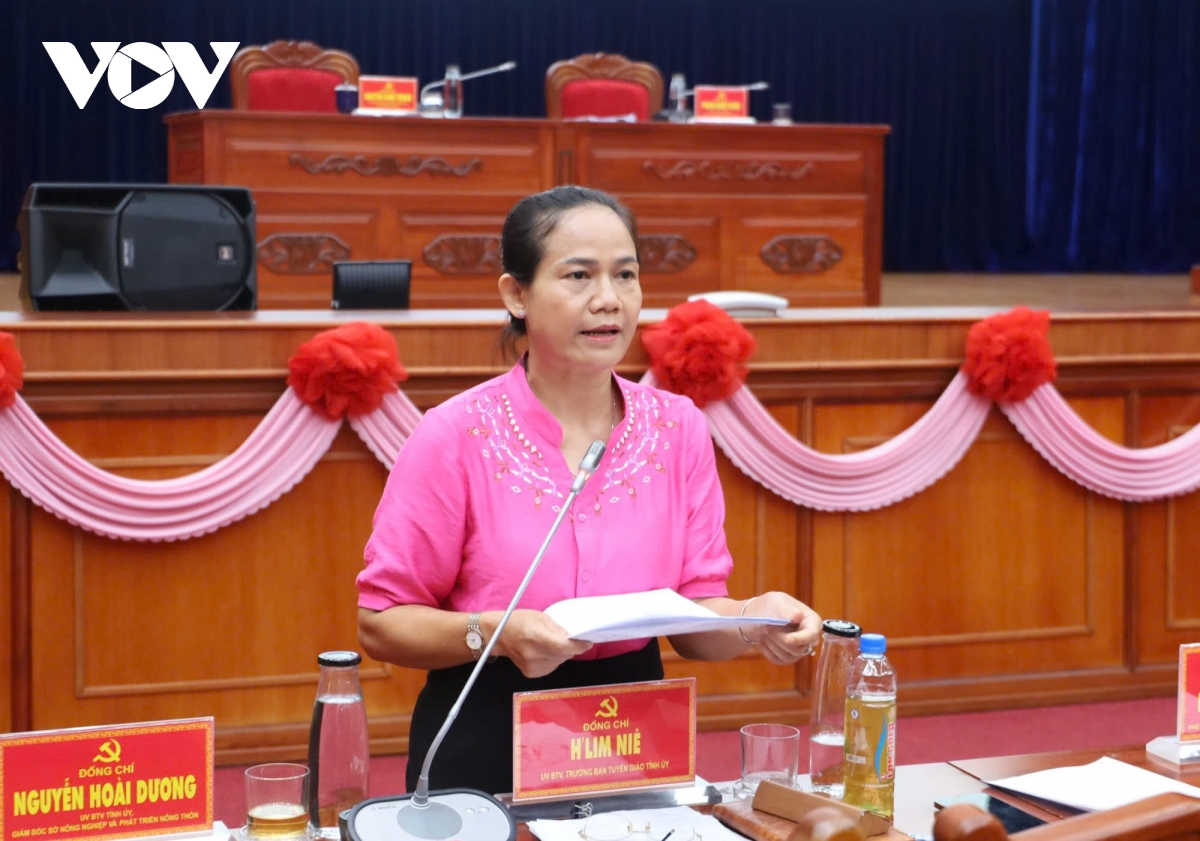 hai Uy vien ban thuong vu tinh uy Dak lak xin nghi huu truoc tuoi hinh anh 2