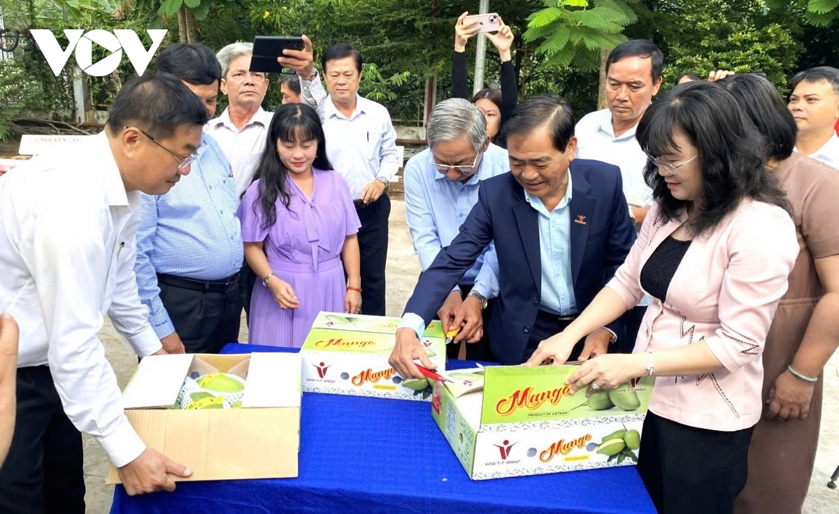 vì sao chưa thể xây dựng thương hiệu trái cây made in vietnam hình ảnh 2 vi sao chua the xay dung thuong hieu trai cay made in vietnam hinh anh 2