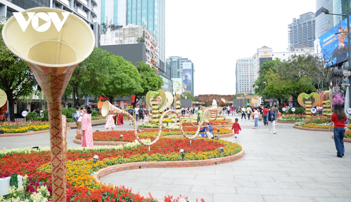 Dong dao nguoi dan du khach du xuan tai duong hoa nguyen hue, tp.hcm hinh anh 9