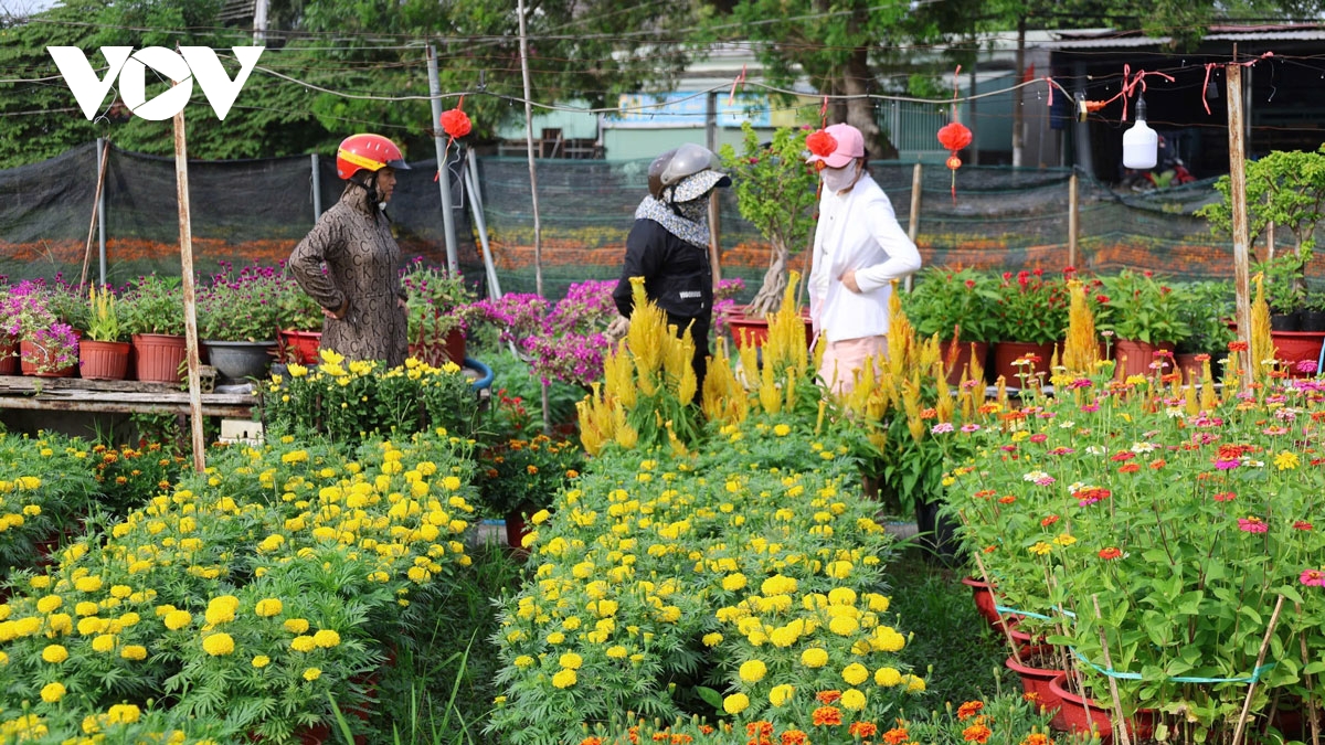 lang hoa giua long thanh pho o binh duong khoe sac hinh anh 5